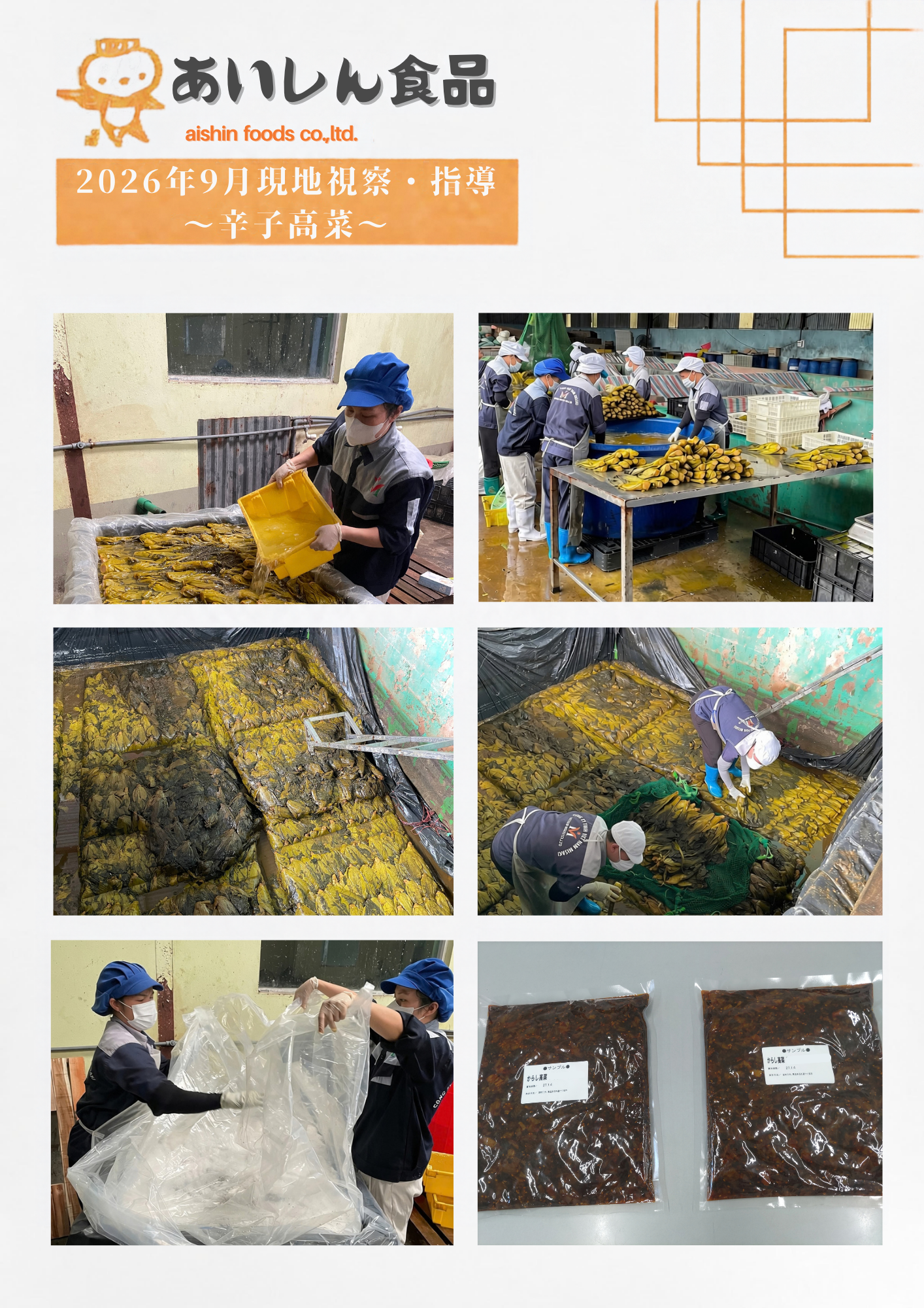 海外視察報告
